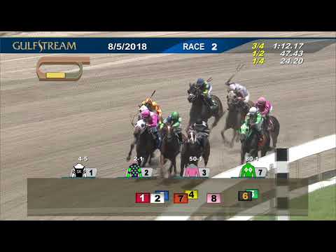 Gulfstream Park: August 5, 2018 Race 2