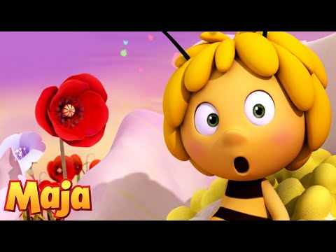 Lerne mit Maya und Flip etwas über die Natur 🌷🐝 Die Biene Maja | Zeichentrickserie für Kinder