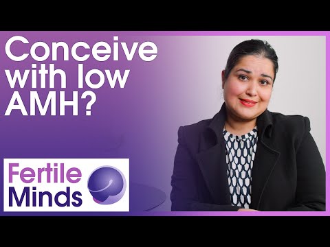 Can I Conceive With A Low AMH? - Fertile Minds