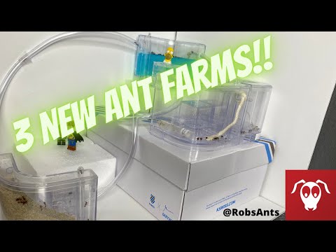 3 NEW ANT FARMS!!! Gel - Sand  - Climbing Ropes and SLIDES! OH MY!