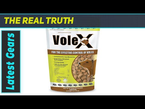 VoleX: Most Effective Vole Control? Testing VoleX!