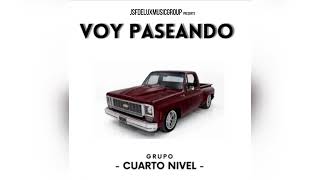 Voy Paseando- Cuarto Nivel (Official Audio)