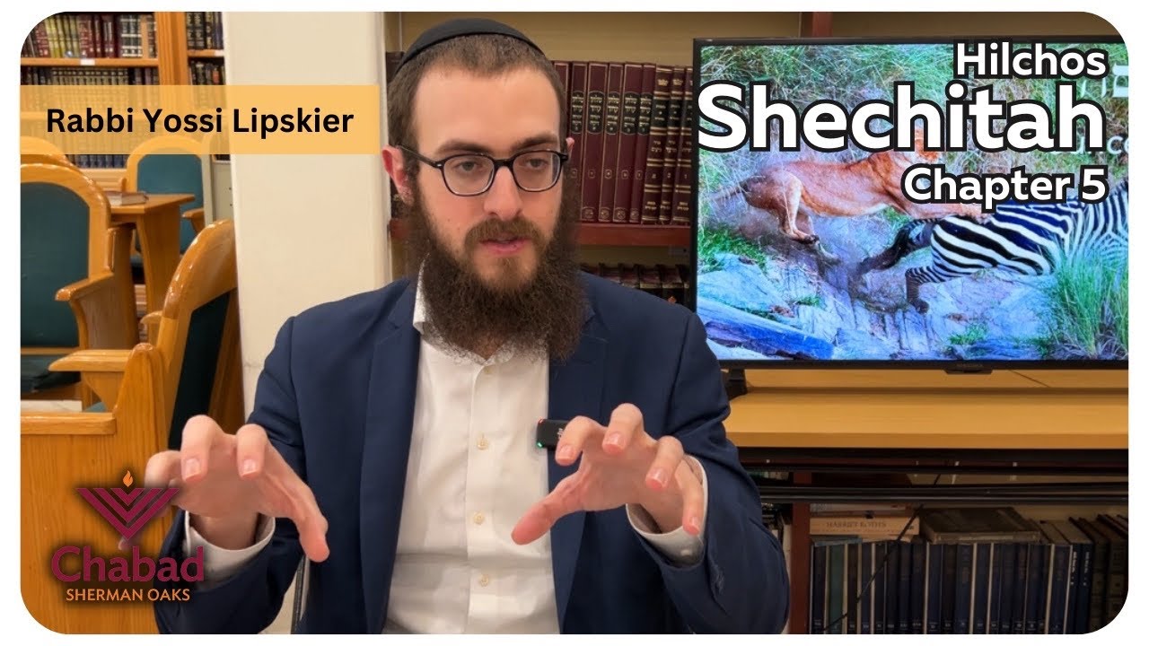 Rambam Hilchos Shechitah Chapter 5 • Rabbi Yossi Lipskier