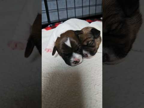 7 апреля 2024 г.