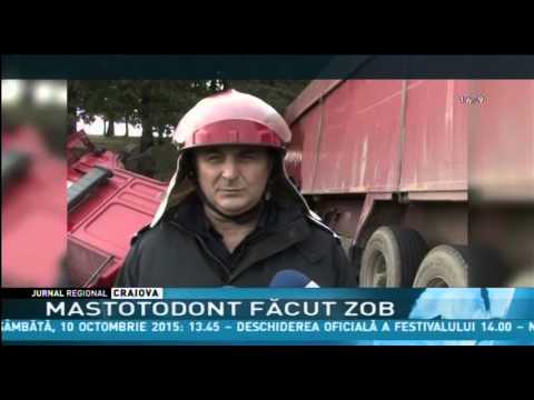 MASTODONT FĂCUT ZOB