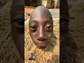 Funny Comedy Beach Travel Africa Animation Cartoon Food Candy