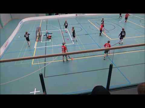 SBheinola-SUDET D03 pun 18.2.2017   2ERÄ