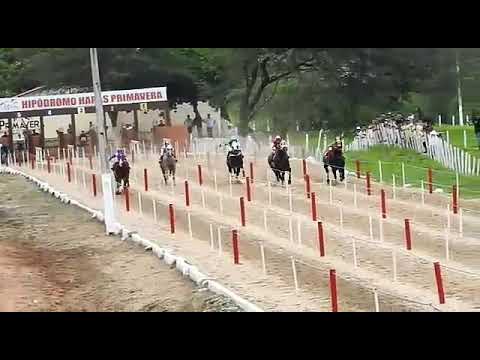 XIII GP HARAS PRIMAVERA - 4° Páreo Classificatório,14/03/2020.
