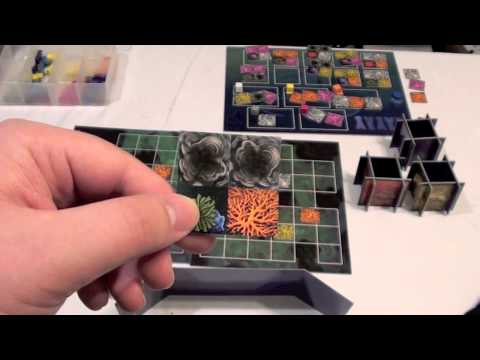 Dice Tower Reviews: Reef Encounter