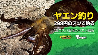 【アオリイカ】ﾀﾋにアジを使ったヤエン戦術！【ニキロ企画】