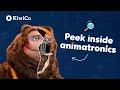 Secrets Hidden Behind Animatronic Design KiwiCo