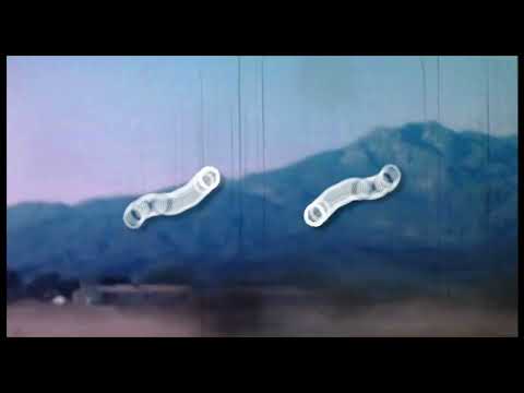 "Paper and Plastic" - Laura Wolf (Official Music Video)