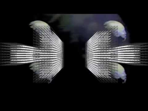 Savlet - Üç Maymun Bir Şeytan