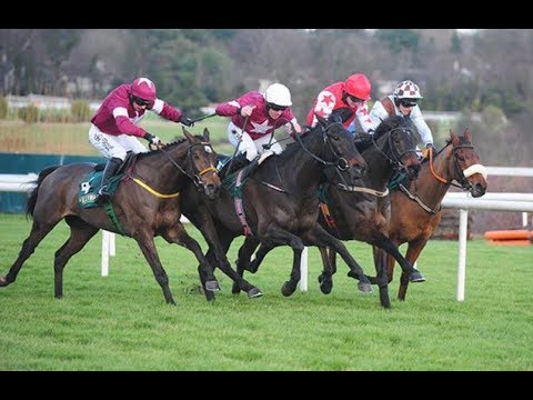 download lagu mp3 mp4 What Is A Bumper In Horse Racing, download lagu What Is A Bumper In Horse Racing gratis, unduh video klip What Is A Bumper In Horse Racing