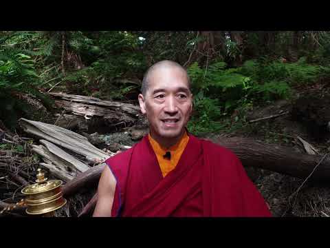 The Preliminaries to the Non Dual Practices of Mahamudra and Dzogchen aren't Just  Counting Numbers!