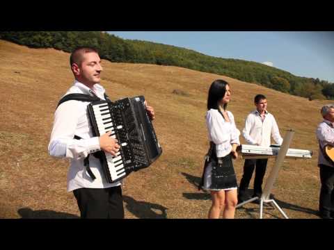 Ionel Ionelule - Formatia Monden