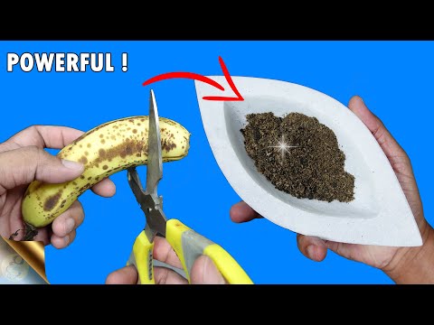 CORRECT METHOD TO MAKE BANANA PEEL FERTILIZER AND TEA TO BOOST BLOOMS