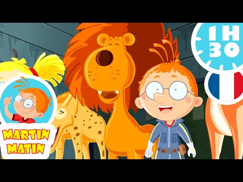 🦁 Martin Matin sauve les animaux ! 🐯- Compilation FR