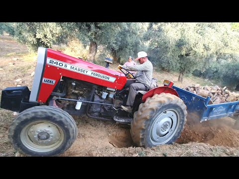TAM ÇIKAMAZ ARTIK DERKEN ( Massey Ferguson 240s )
