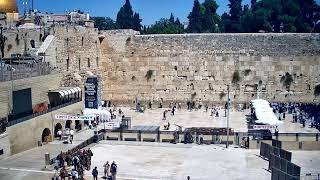 Западной стены в Иерусалиме | הכותל | The Western Wall live webcam