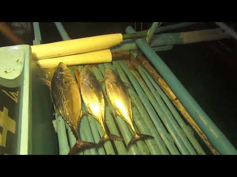 Ep. 2 actual na  pagbatak ng lambat at pagkuha ng isda mula sa dagat