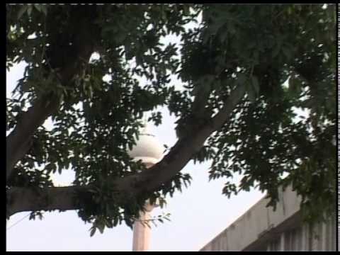 Urdu Khutba Juma on March 25, 1983 at Masjid Aqsa Rabwah by Hazrat Mirza Tahir Ahmad