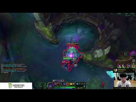 Peanut stream elise lck proview