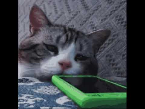 Deer simulator modern word android