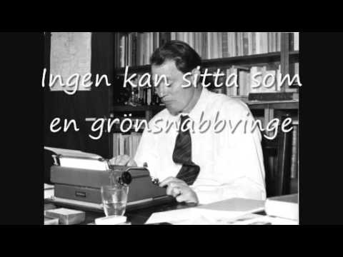 Ingen kan sitta som en grönsnabbvinge - ljudupptagning