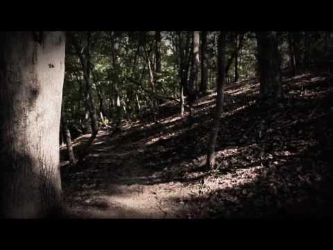 Padurea Radovan Scary