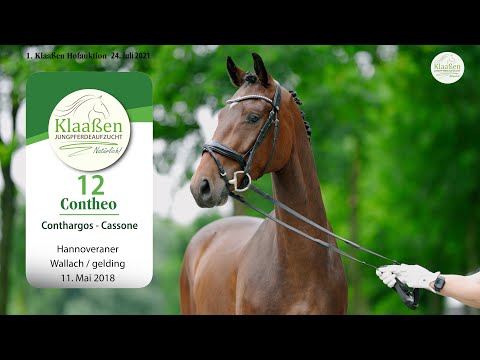 Hofauktion Klaaßen Katalog-Nr.12 Contheo Wallach v. Conthargos - Cassone