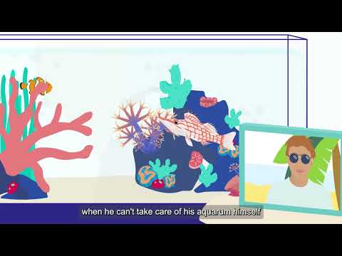 Typus -  Seawater App video thumbnail