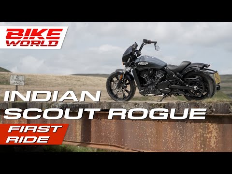 2022 Indian Scout Rogue | First Ride