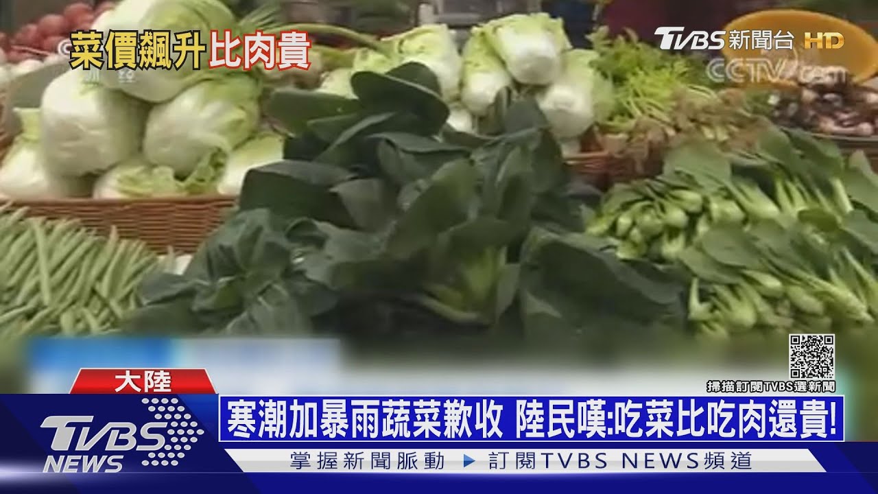 寒潮加暴雨蔬菜歉收 陸民嘆:吃菜比吃肉還貴!
