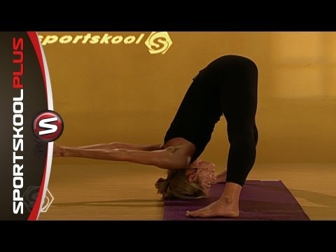 Yoga Vinyasa Flow Level 2 to 3 with Erika Schnicke