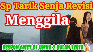 Download lagu sp tarik senja revisi menggila !! rbw umur 2 bulan. mp3