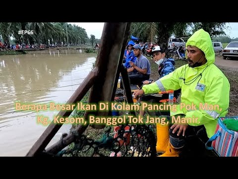 SJT3_Kolam Pancing Pok Man,Kg Kesom, Banggol Tok Jang,Manir Mencuba Nasib Lagi Kali Ini #EP66