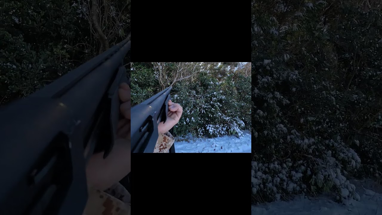 【狩猟】雪の森を索敵2 | FJCLUB