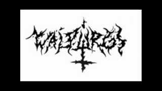 Walpurgi - Kamerad