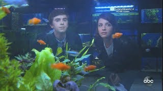 The Good Doctor 2x07 Ending Scene Shaun and Lea Get Another Fish to Replace Hubert