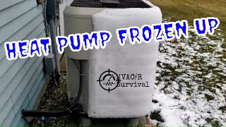 HEAT PUMP FROZEN UP LIKE A ICE MACHINE I MISSED  UP & TOASTED THE FUSE