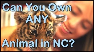 What Exotic Pets are Legal (and Illegal) in North Carolina