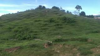 Download lagu Ellya Khadam - Mengharap mp3