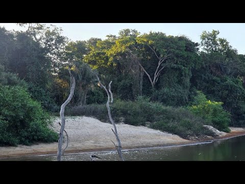 Férias no Pará Part. 6 - O dia de conhecer o Rio Pau D’Arco e tomar aquele banho de rio! 