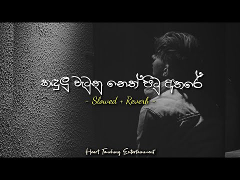 Kadulu Watunu Neth Pitu  | කඳුලු වැටුනු නෙත් පිටු  Slowed + Reverb | Heart Touching Entertainment