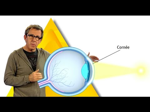 MONT ROYAL "T'as vu mes verres ?" thumbnail