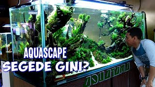 Grebek Toko Aquascape Cirebon - Dev Aquascape dan Aquatama