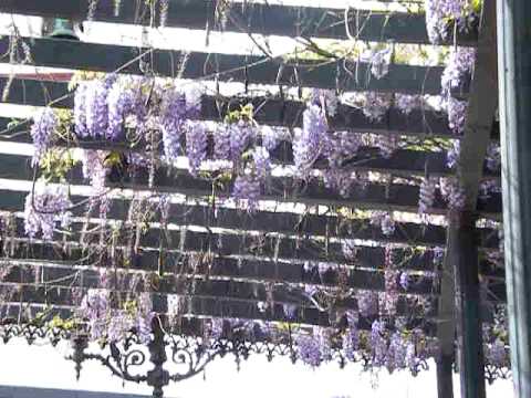 Fuengirola, Praça da Constituição