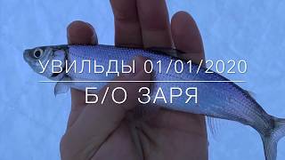 Увильды рыбалка форум отчеты
