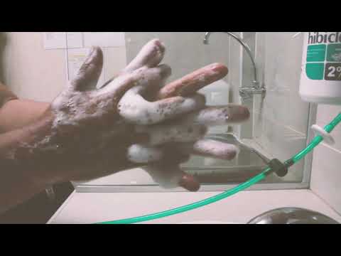 Higiene de Manos: Técnica de los 11 pasos del lavado de manos - Hospital Santa Rosa